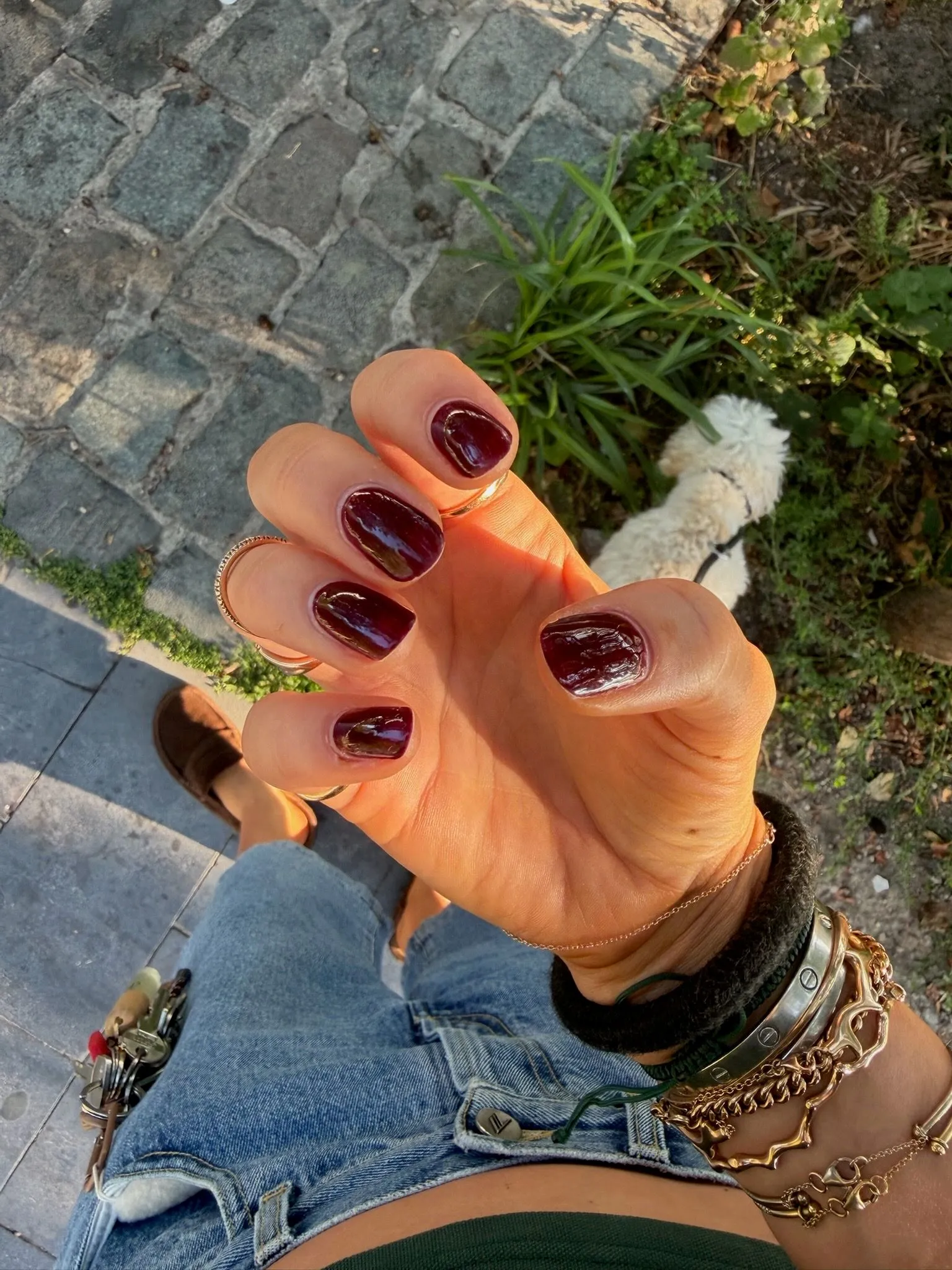 hand with burgundy nail polish